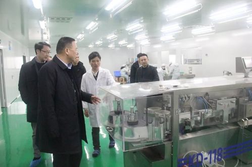 瀏陽經開區黨工委副書記談文昌深入調研道和生物制藥廠，并強調以產教融合賦能長沙教育咨詢發展